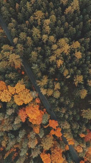 泛目录使用教程收录截图2