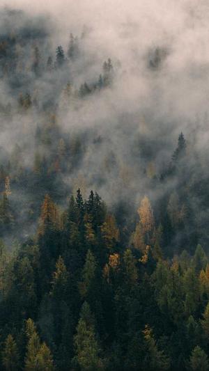 seo工具有哪些截图2