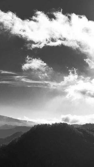 青海网站建设截图4