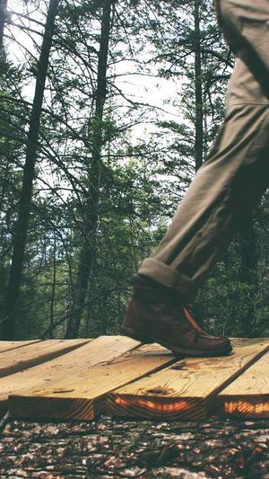 泛目录程序使用教程截图5