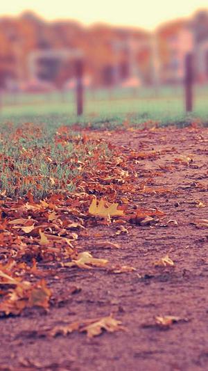 双语网站建设截图2