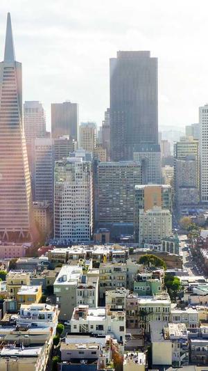 网站建设解决方案截图4