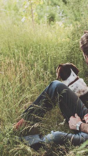 蜘蛛池使用视频讲解截图2