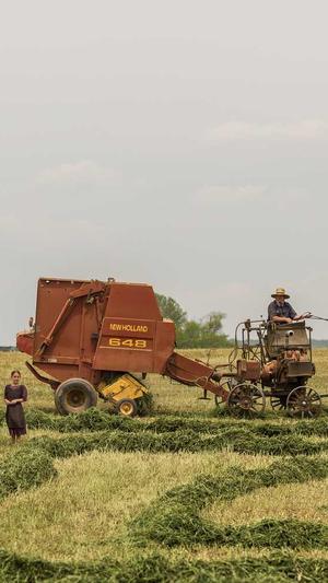 济南 网站建设截图1