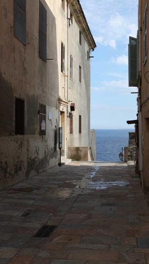 蜘蛛池怎么做好吃截图1