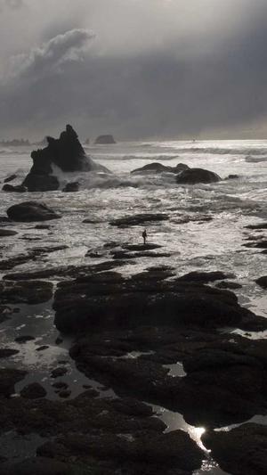 seo收录工具关键词截图4