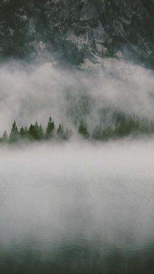 seo优化分析工具截图4