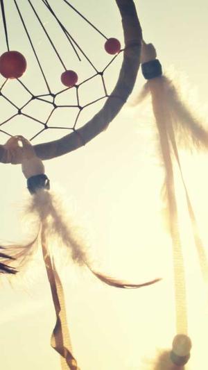 郑州网站建设电话截图1