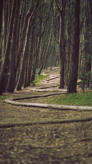 手机 seo排名工具截图3