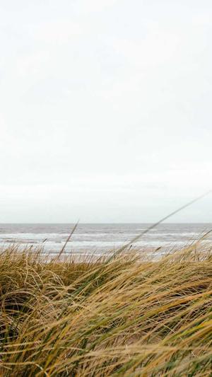 小旋风万能蜘蛛池详解截图2