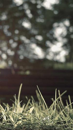 南京模板网站建设截图4