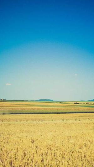 seo排名点击截图1