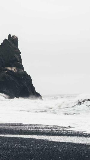 蜘蛛池最怕什么水截图5