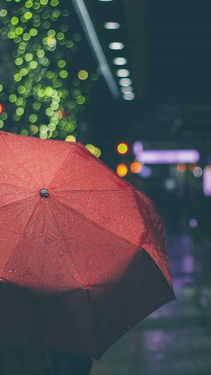 seo优化提升排名工具截图3