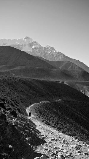 开县网站建设截图2