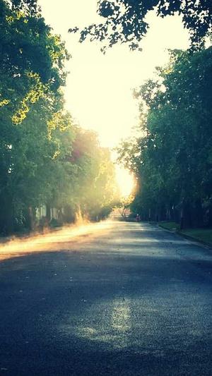 Linux蜘蛛池程序截图3