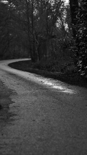 零距离泛目录站群截图2