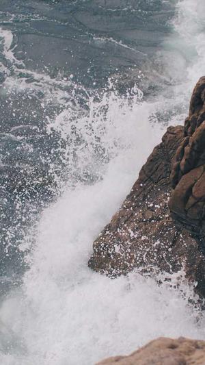 泛目录最新教程截图1