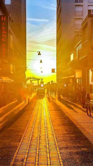 seo泛目录程序下载截图2