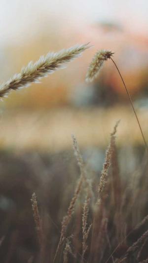 建设部网站官网截图3