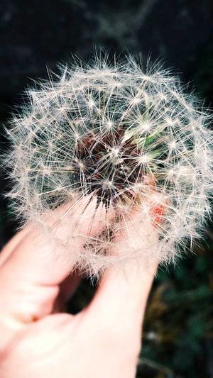 泛目录和泛解析截图4