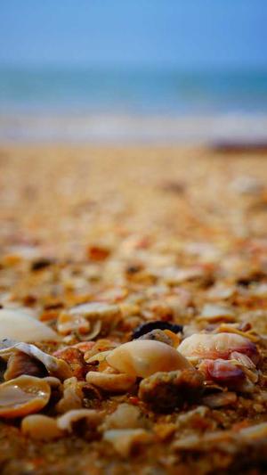 外行学习个人网站建设截图1