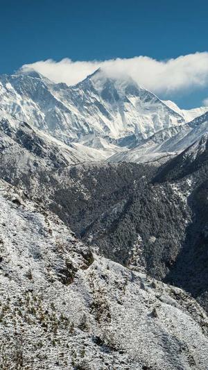泛目录源码蜘蛛池教程截图2