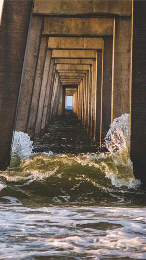 百度蜘蛛池怎么弄截图1