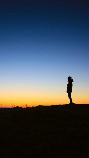 云南搜狗蜘蛛池出租截图2