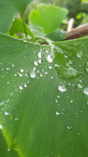 网站建设论文截图3