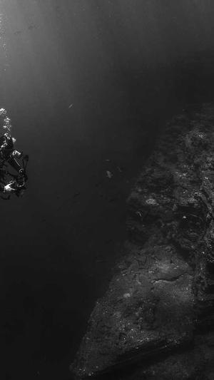 站长工具seo截图4