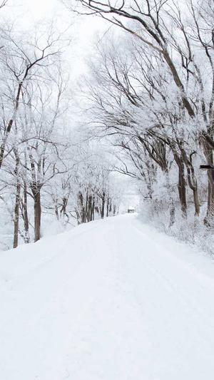 青岛网站seo诊断工具截图2