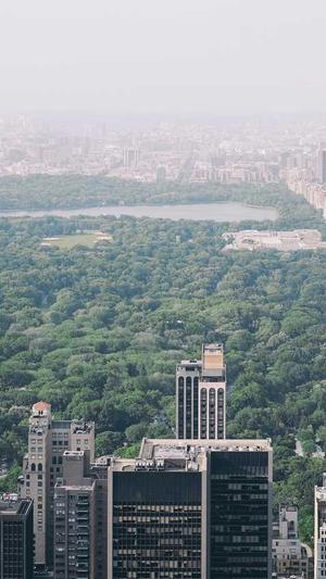 谷歌seo关键词工具截图3