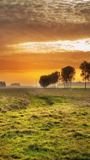 一流的上海网站建设公司截图4