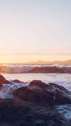 seo网站优化推广截图1