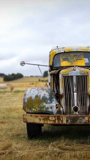 青海网站建设截图1