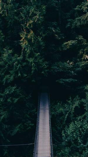 seo站群怎么管理泛目录截图4