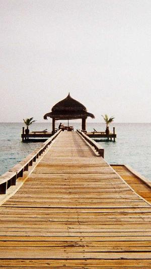 上海seo推广工具截图3