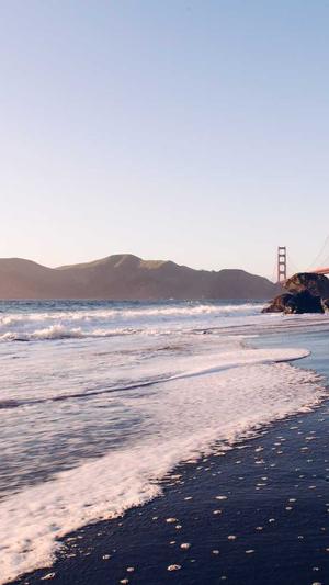 搜狗蜘蛛池出租202截图3