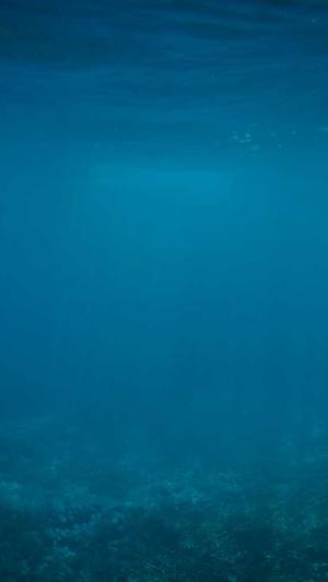 蜘蛛池怎么快速引截图3