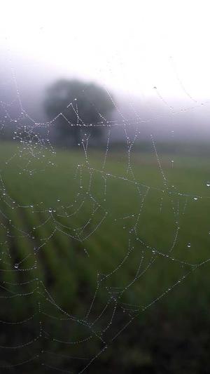 茂名seo优化截图1