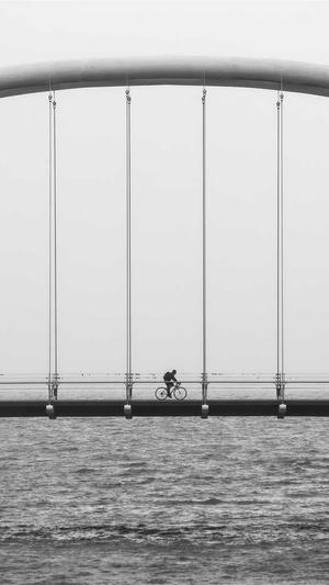 黑帽seo之超级推送工具截图4