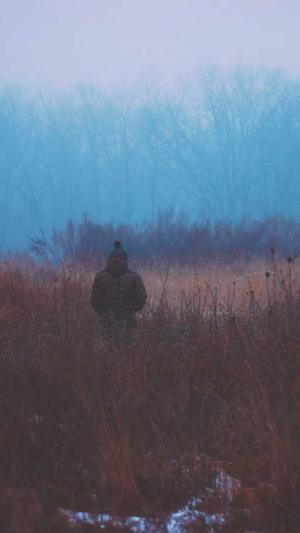 seo工具包使用方法截图1