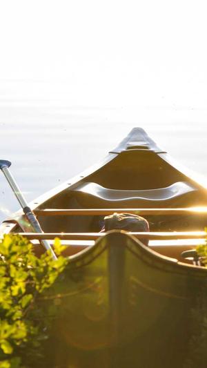 蜘蛛池免费版截图3