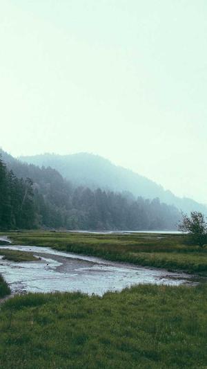 丰台网站建设截图3