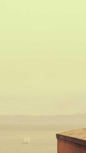 英文seo站长工具截图5