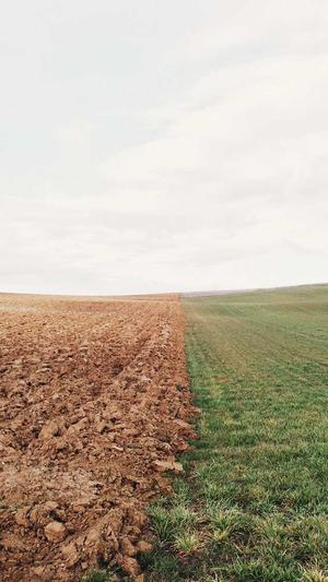 seo优化包括截图1