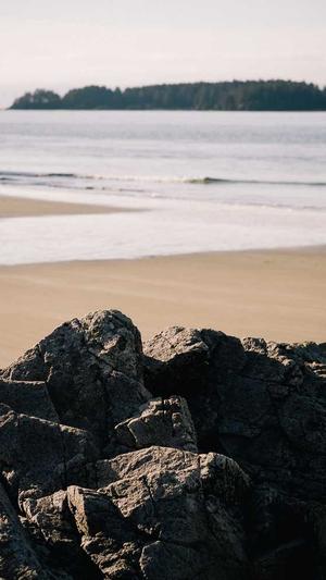 seo快速排名工具 sit截图3