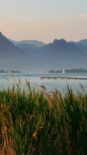 如何搭建蜘蛛池推广截图1