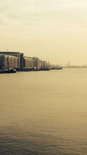 泛目录源码蜘蛛池教程截图4